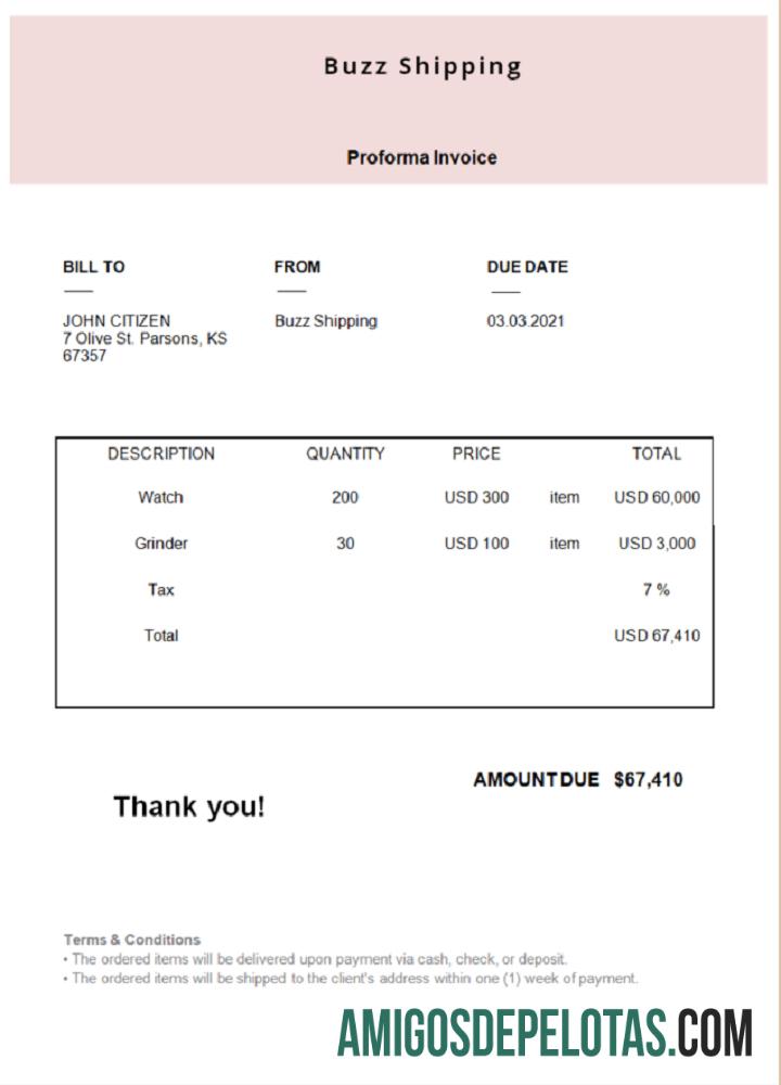 Fatura de envio Buzz dos EUA modelo